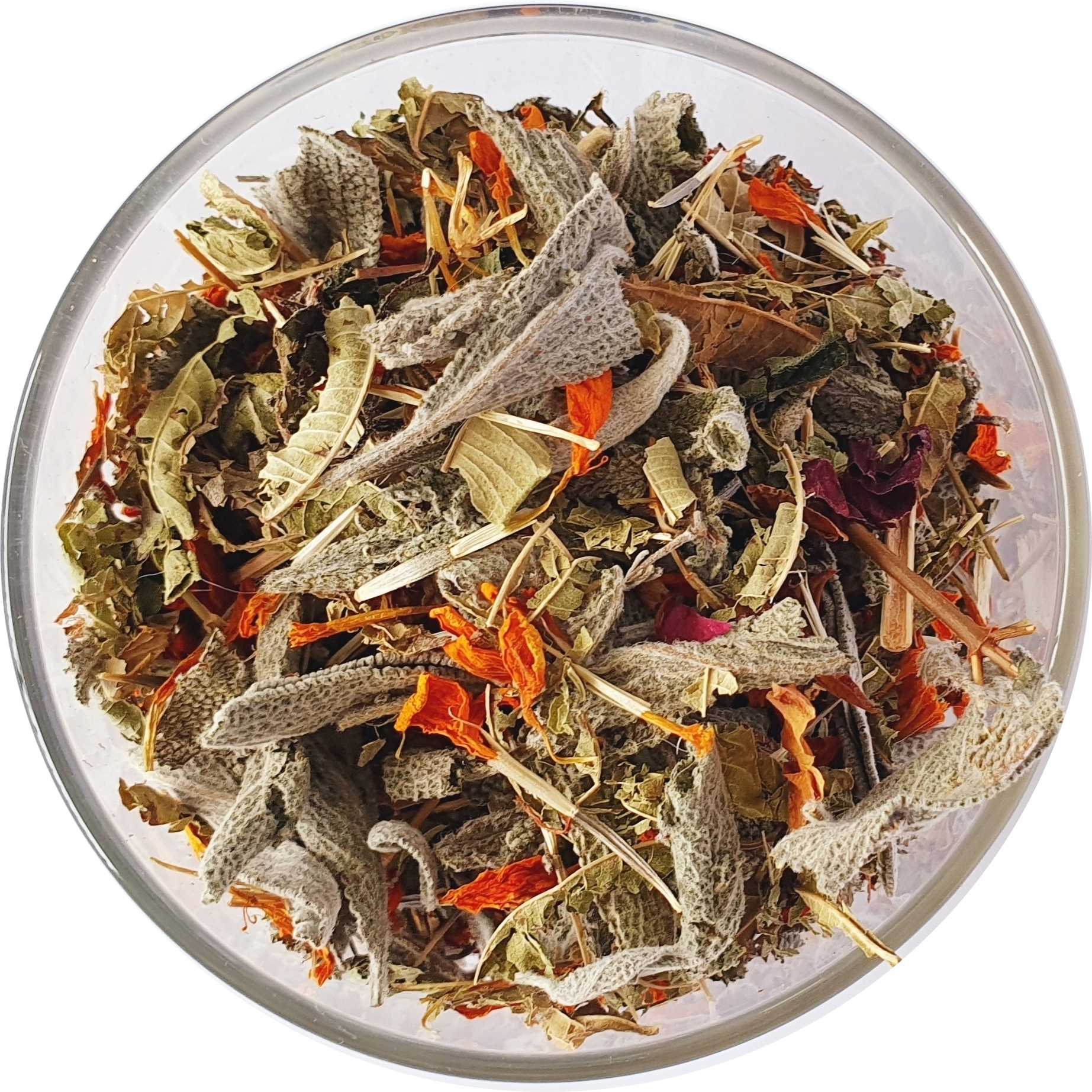 FRISQUE-TEA-Feminine-Vitality