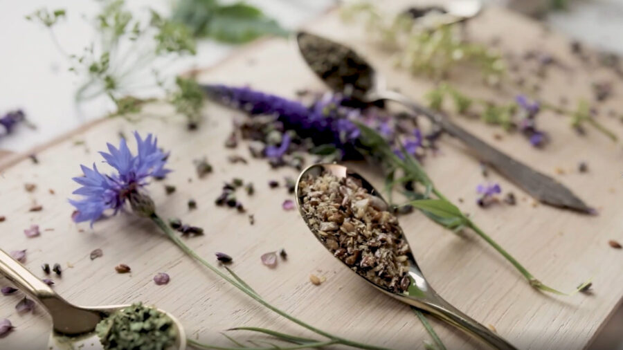 Beneficial Herbs For Women’s Health